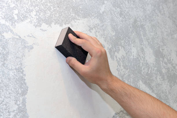 Professional Mold Removal in Steelton, PA